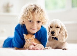 Bambini e animali, i benefici di crescere insieme bambini a animali
