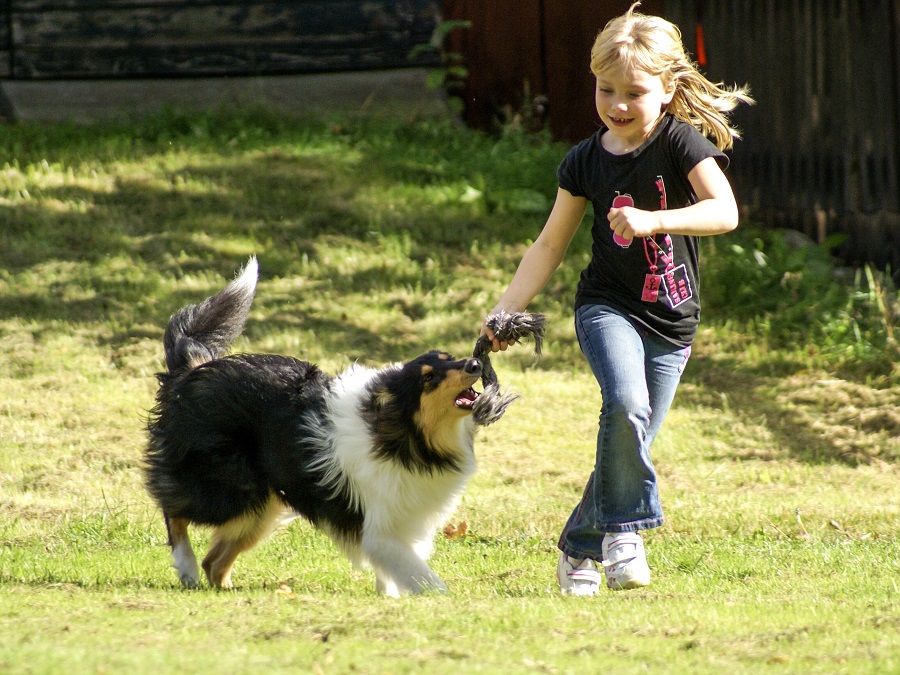 benefici avere un cane