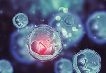 Nidazione, cosa sapere su una delle prime fasi della gravidanza Nidazione, cosa sapere su una delle prime fasi della gravidanza