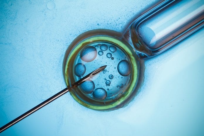 Fecondazione assistita: cosa sapere sulla classificazione degli embrioni