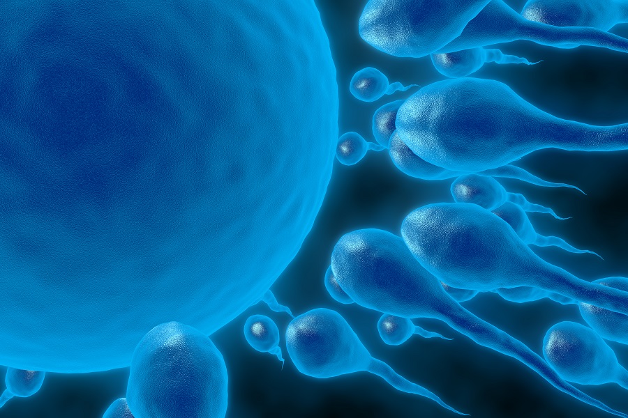 Fecondazione assistita cosa sapere sulla classificazione degli embrioni2