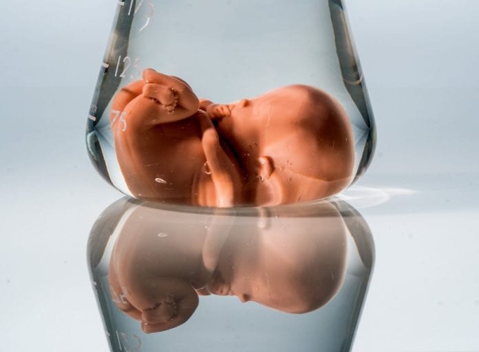 Tutto quello che c'è da sapere sul liquido amniotico