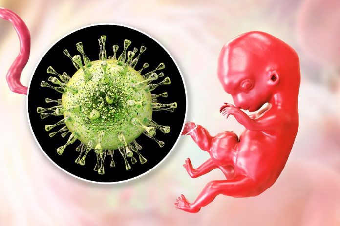 Citomegalovirus in gravidanza: di cosa si tratta e cosa sapere