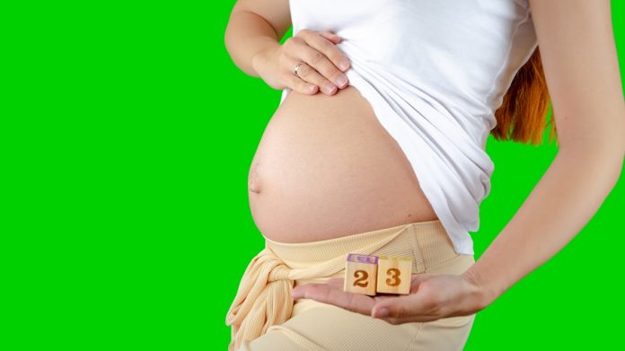 Tutto quello che bisogna sapere sulla ventitreesima settimana di gravidanza