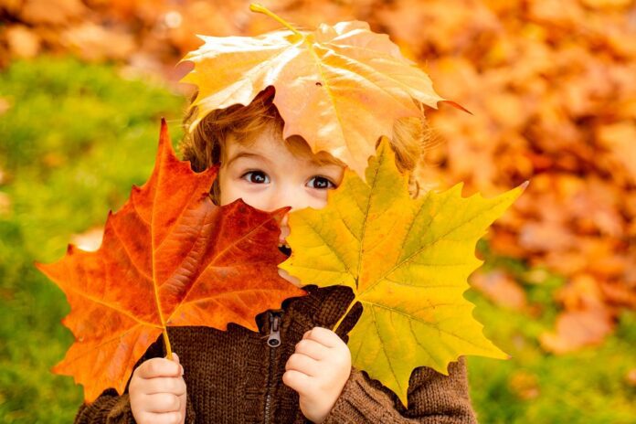 Le più belle frasi sull'autunno da leggere con i bambini