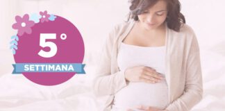 Quinta settimana di gravidanza Sapevi che il suo cuoricino ha già cominciato a battere? Il suo ritmo è davvero veloce, circa il doppio di quello di un adulto! Se sei fortunata, potresti già sentirlo nel corso di un'ecografia...