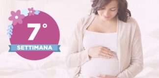 Settima settimana di gravidanza I cambiamenti fisici nel corpo della mamma sono visibili solo ad un occhio molto attento, ma l'embrione cresce e si sviluppa ad un ritmo rapidissimo. A breve il vostro rapporto sarà ancora più stretto: si sta formando il cordone ombelicale!