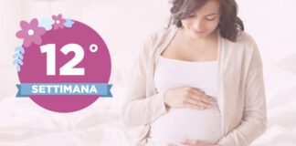 Dodicesima settimana di gravidanza Con la dodicesima settimana di gravidanza si può dire concluso il primo trimestre di gravidanza, da molti considerato il periodo più delicato. Le nausee dovrebbero ormai essere un capitolo chiuso, ma potresti cominciare a sperimentare le famose voglie.