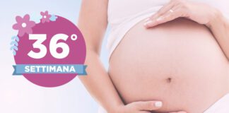 Trentaseiesima settimana di gravidanza Finalmente stai entrando nel tuo ultimo mese di gravidanza: ora manca davvero poco a stringere tra le braccia il tuo bimbo! Aspetterai questo momento con un misto di gioia e di ansia per il momento del parto: cerca di stare tranquilla e andrà tutto bene.